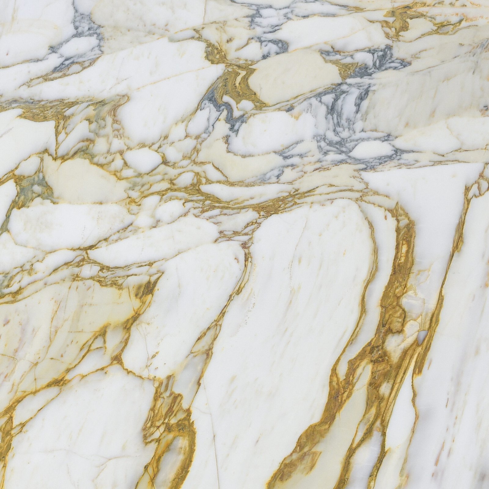 Arabescato Gold Marble | Premium Marble Slab | Avant Stone