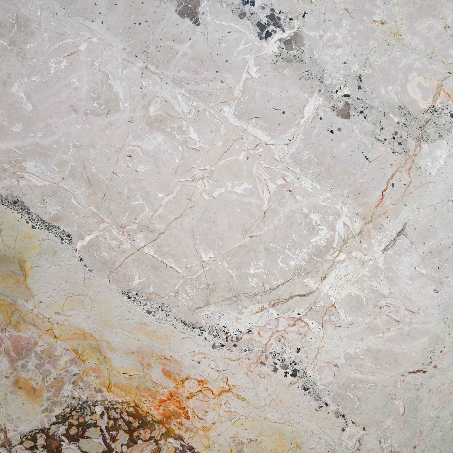 Alessia Marble | Premium Marble Slab | Avant Stone