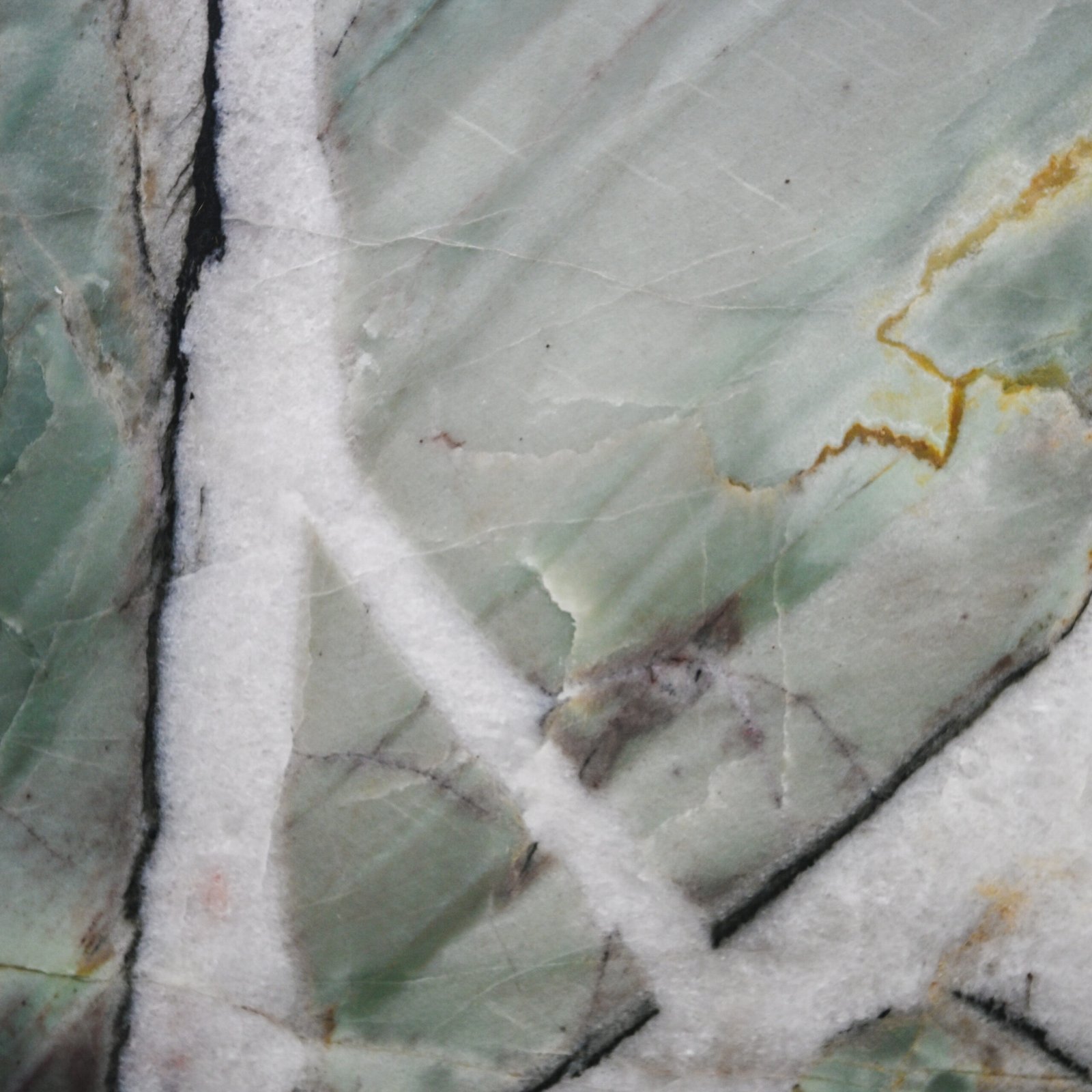 Botanic Crystal Quartzite -14