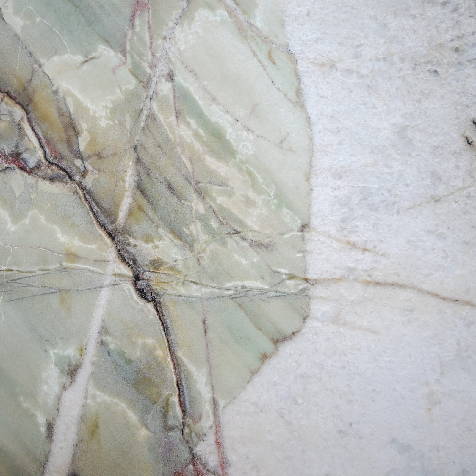Botanic Crystal Quartzite -4