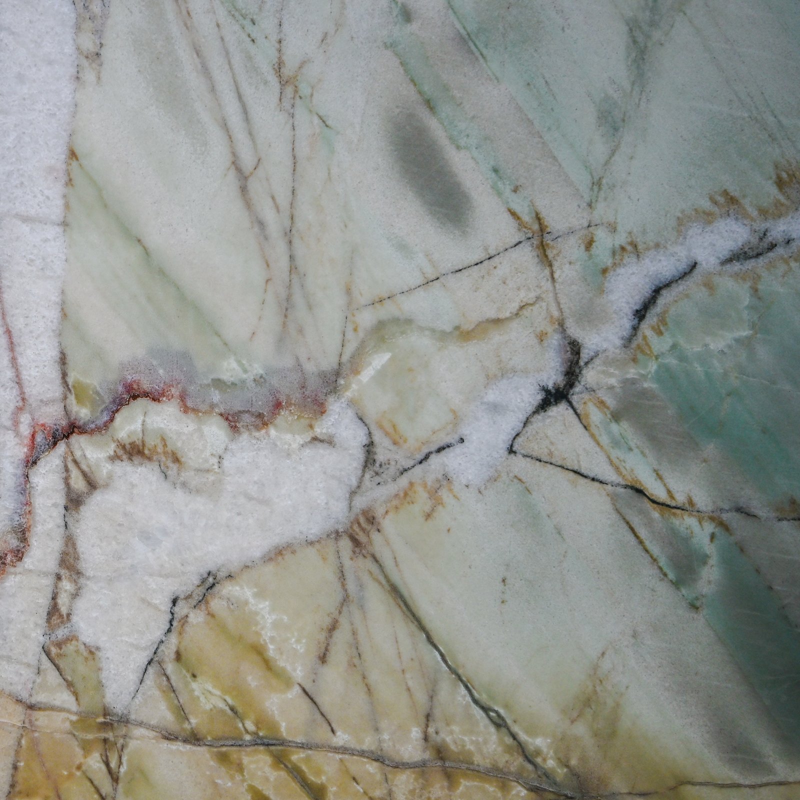 Botanic Crystal Quartzite -5