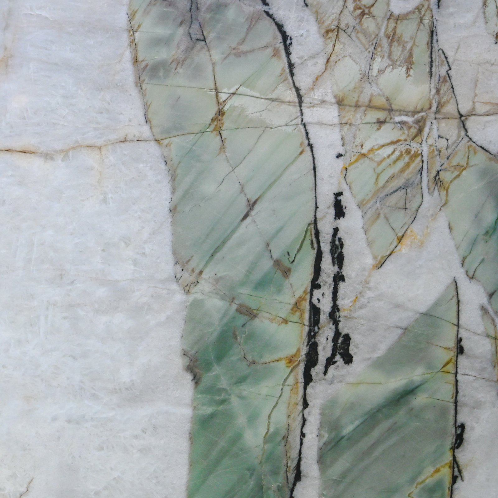 Botanic Crystal Quartzite -6