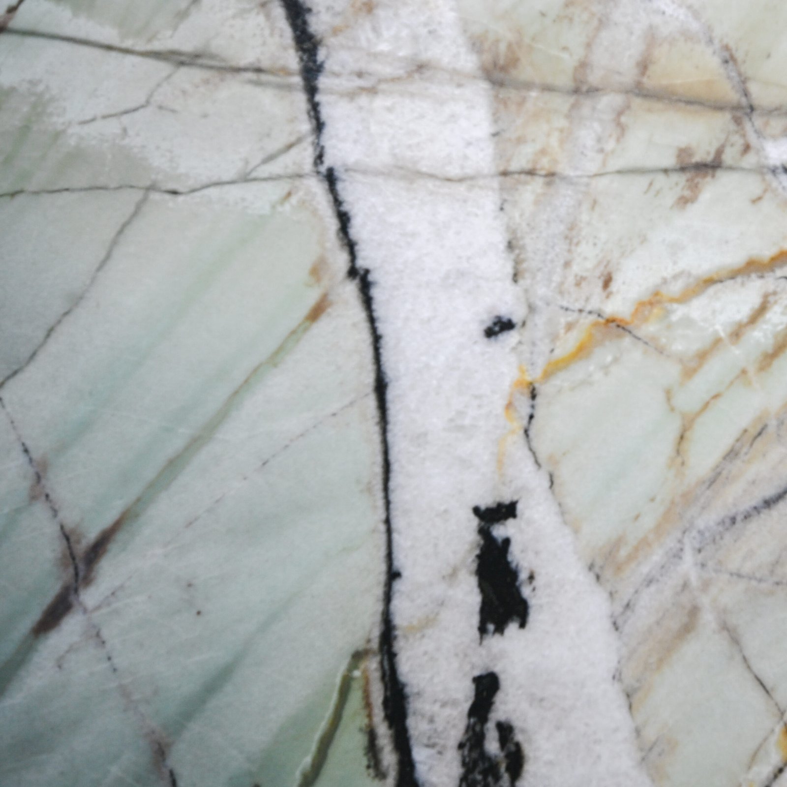Botanic Crystal Quartzite -7
