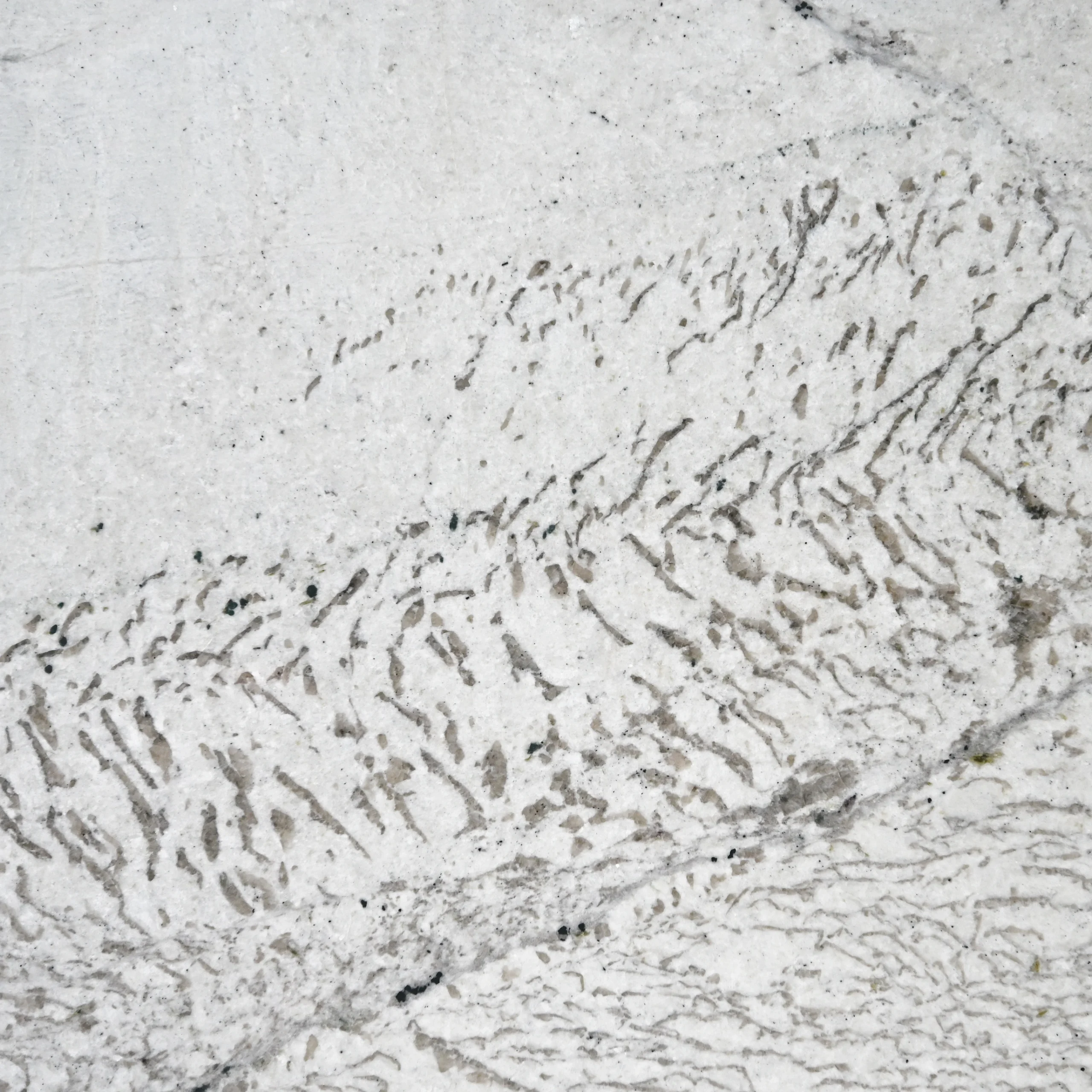 blanco Quartzite -19